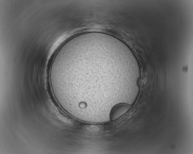 X0000116460102200912231409