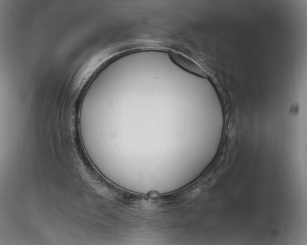 X0000116460103200912231409