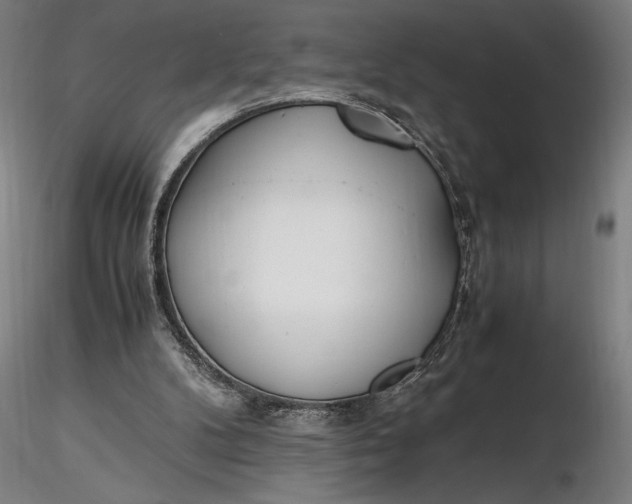 X0000116460104200912231409