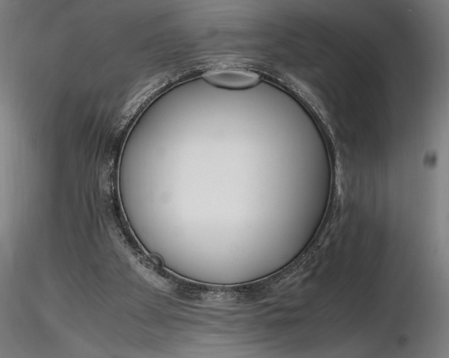 X0000116460105200912231409