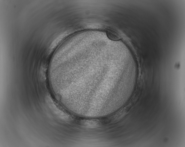 X0000116460106200912231409