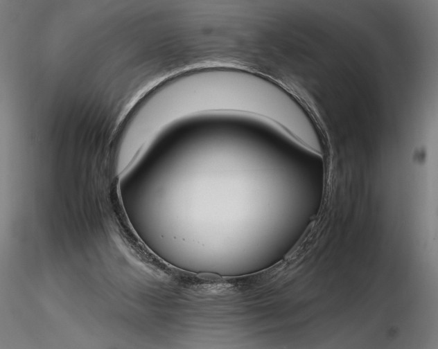 X0000116460108200912231409