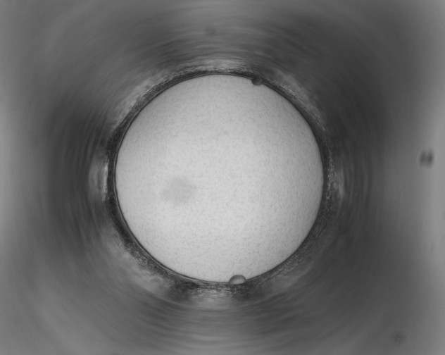 X0000116460110200912231409