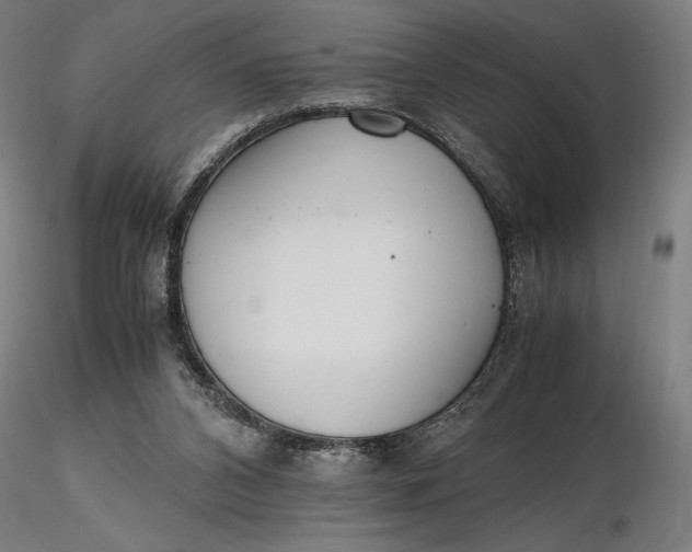 X0000116460112200912231409