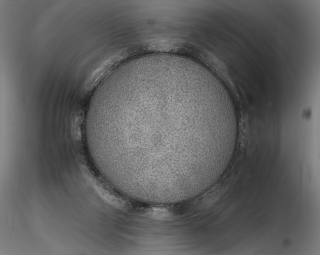 X0000116460114200912231409