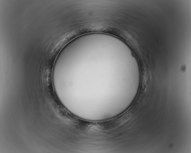 X0000116460115200912231409