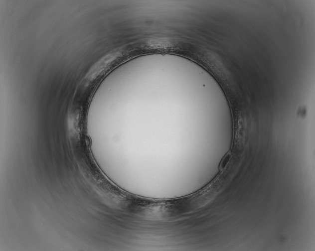 X0000116460116200912231409