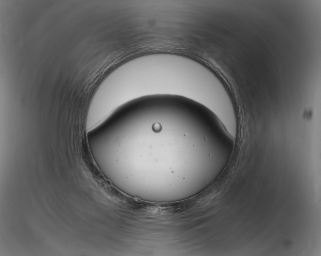 X0000116460117200912231409