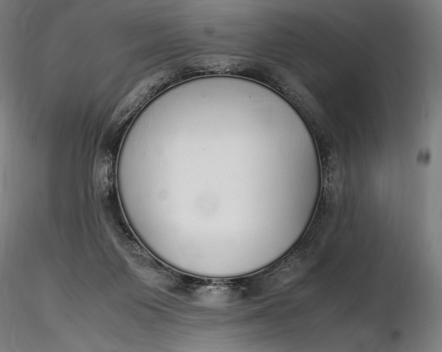 X0000116460119200912231409