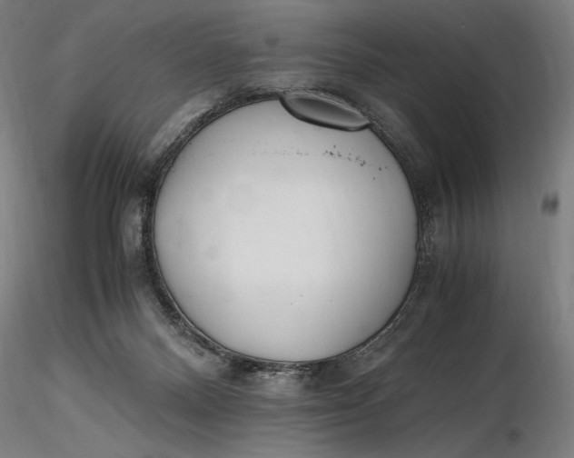 X0000116460120200912231409