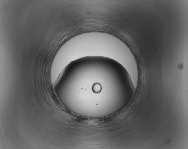 X0000116460121200912231409