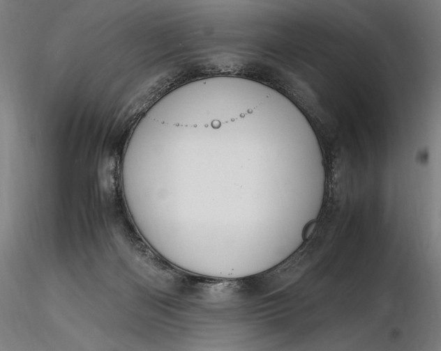 X0000116460122200912231409