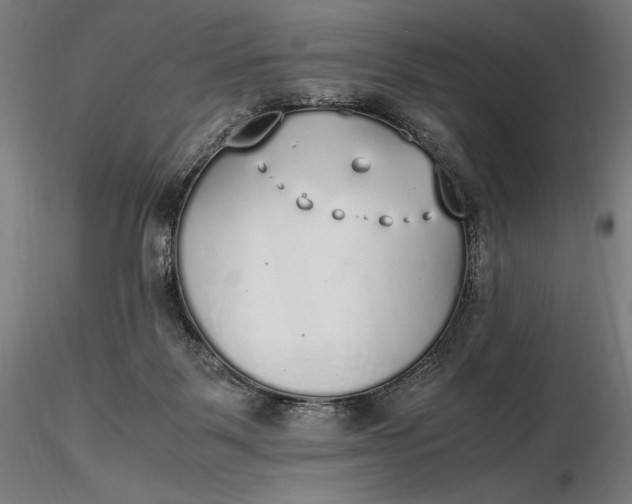 X0000116460123200912231409