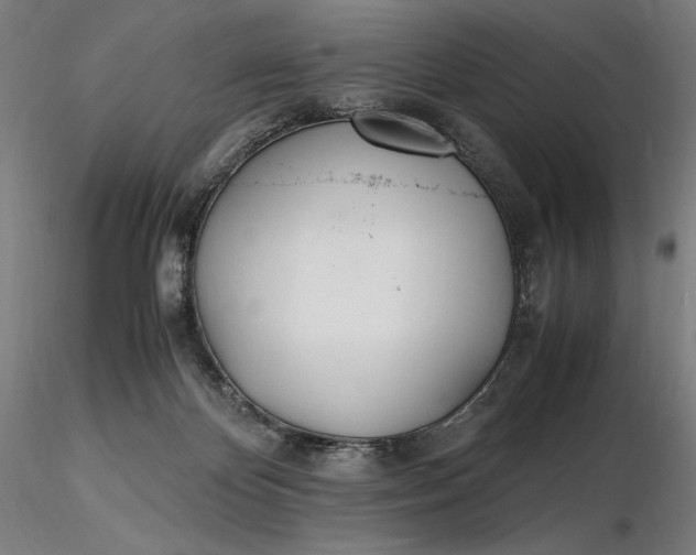 X0000116460124200912231409