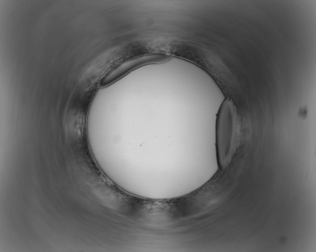 X0000116460125200912231409