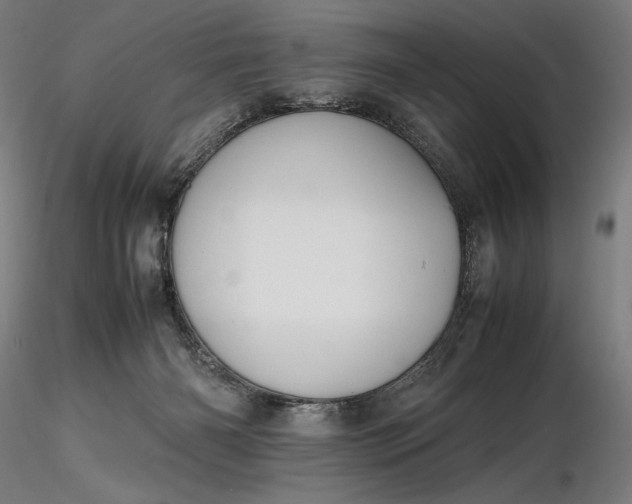 X0000116460126200912231409