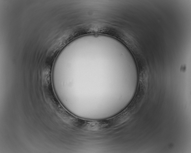 X0000116460127200912231409