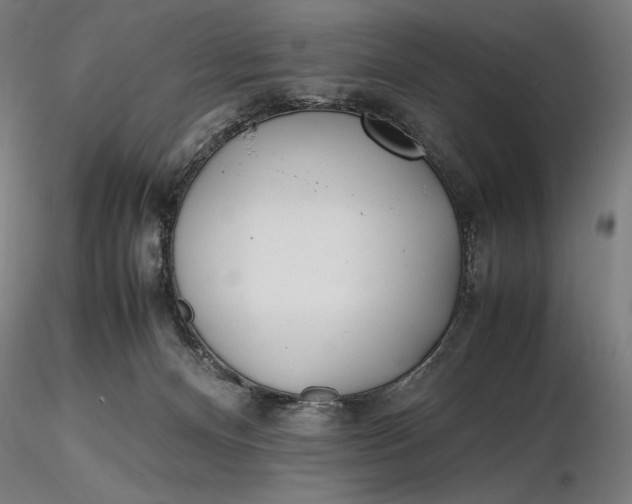 X0000116460128200912231409