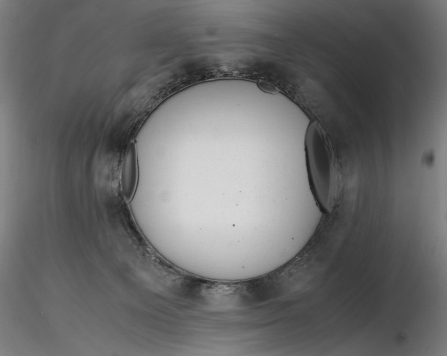 X0000116460129200912231409