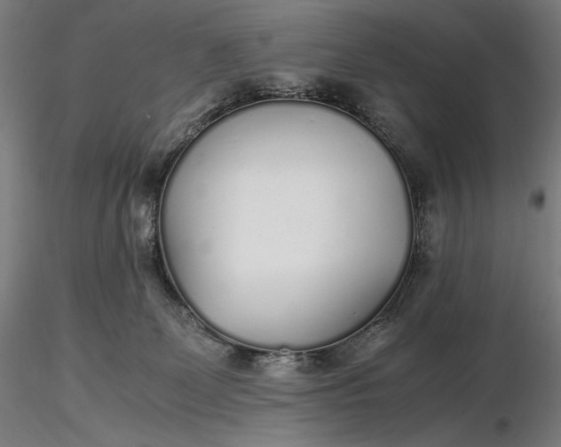 X0000116460131200912231409