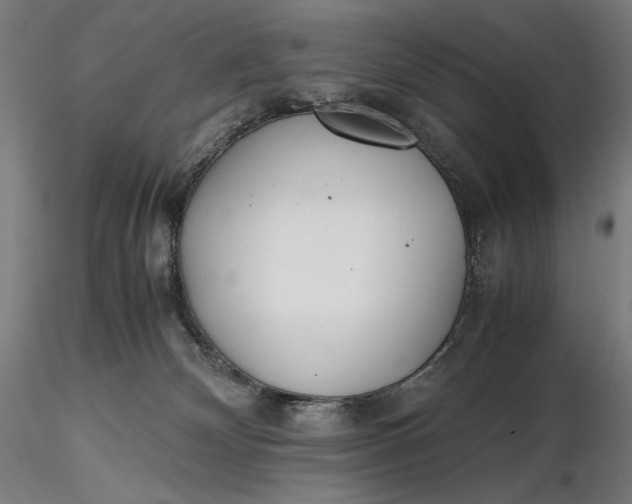 X0000116460132200912231409