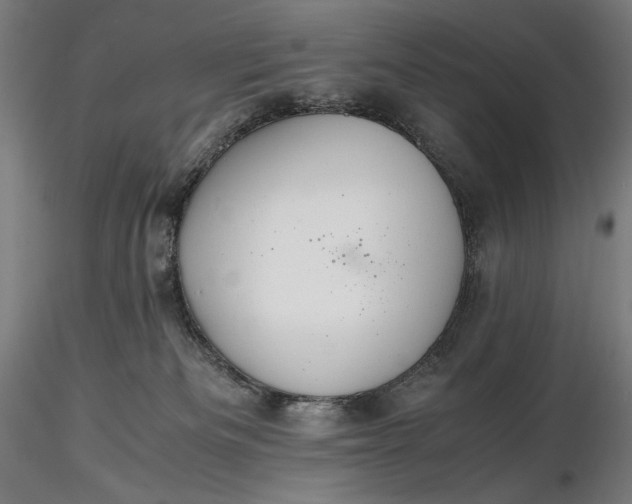 X0000116460133200912231409