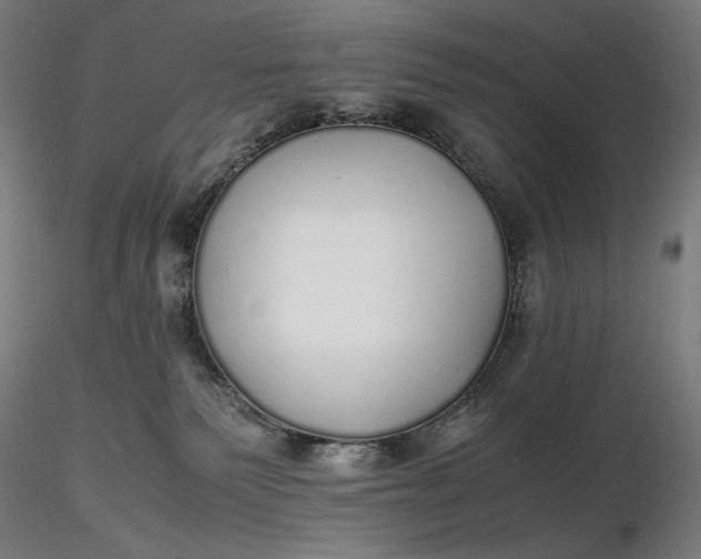 X0000116460135200912231409