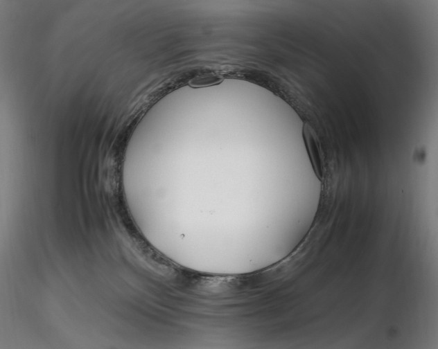 X0000116460136200912231409