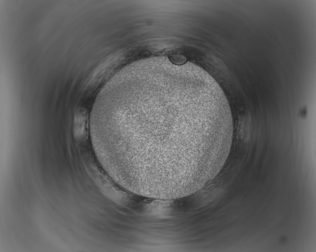 X0000116460138200912231409