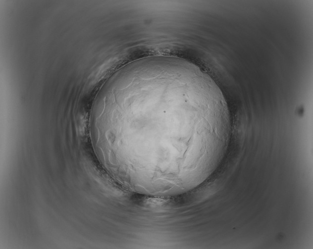 X0000116460139200912231409