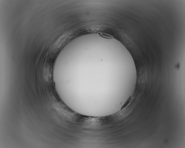 X0000116460140200912231409