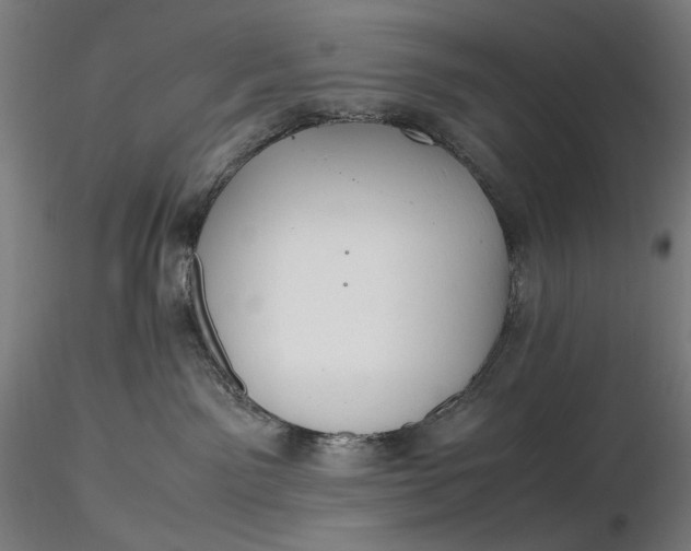 X0000116460141200912231409