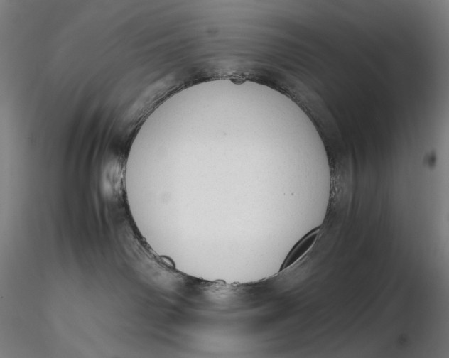 X0000116460142200912231409