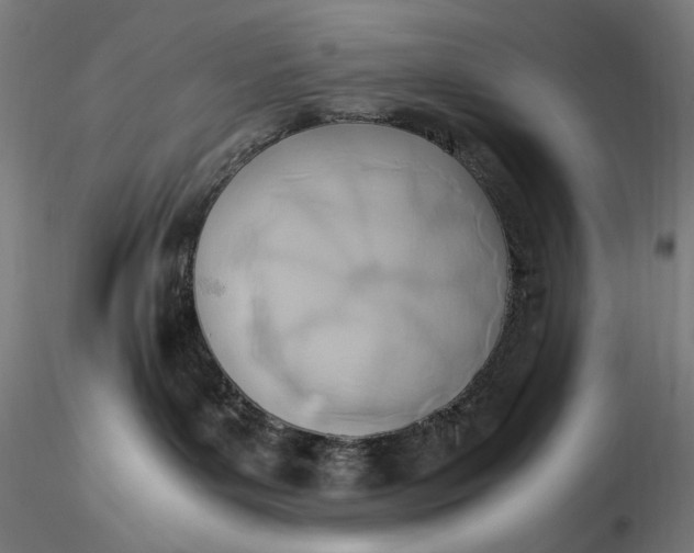 X0000116460143200912231409