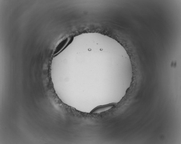 X0000116460144200912231409