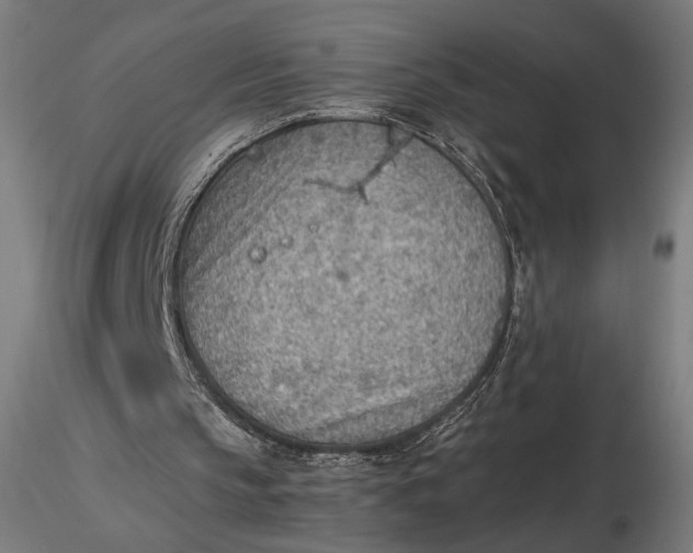 X0000116460145200912231408