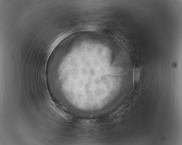 X0000116460147200912231408