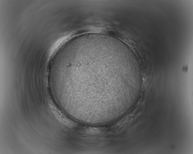 X0000116460149200912231408