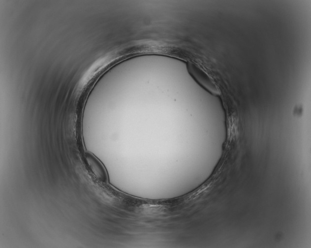 X0000116460150200912231408