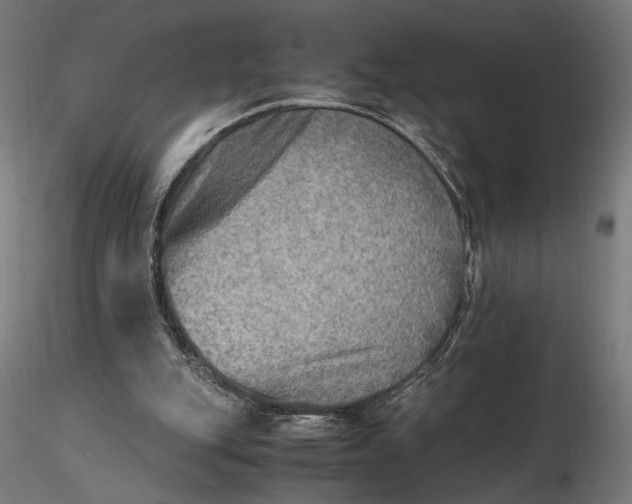 X0000116460151200912231408