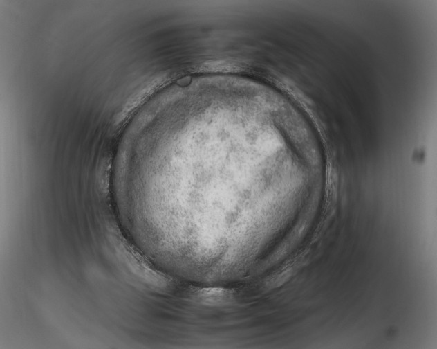 X0000116460153200912231408