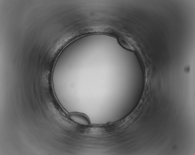 X0000116460154200912231408