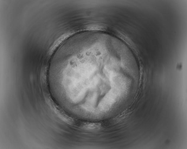 X0000116460155200912231408