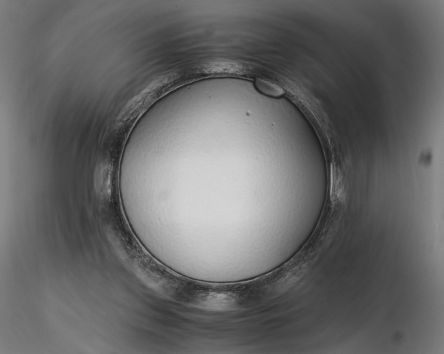 X0000116460157200912231408