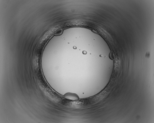 X0000116460158200912231408