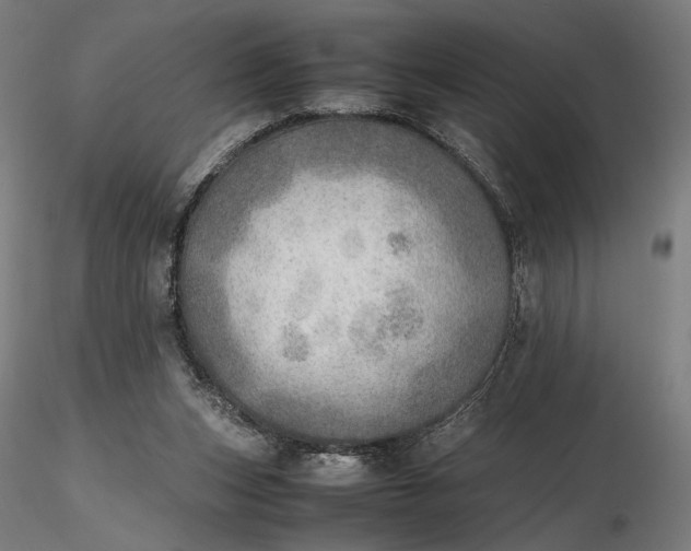 X0000116460159200912231408