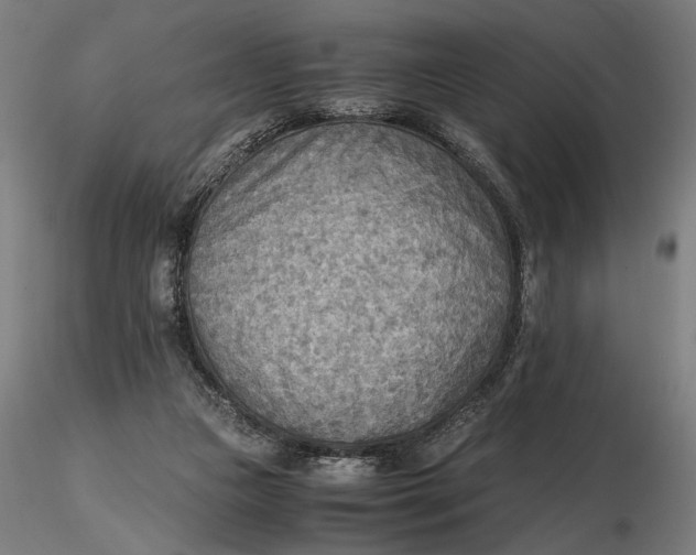 X0000116460161200912231408