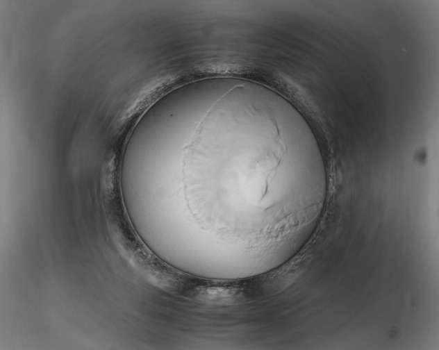 X0000116460163200912231408