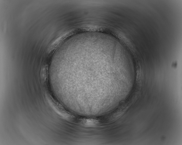 X0000116460165200912231408