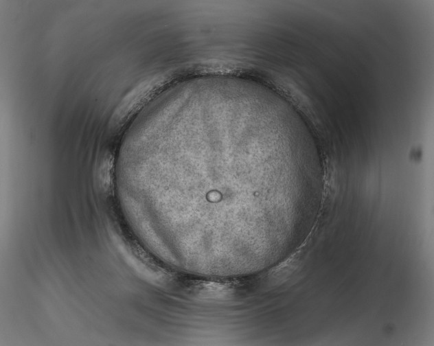 X0000116460166200912231408